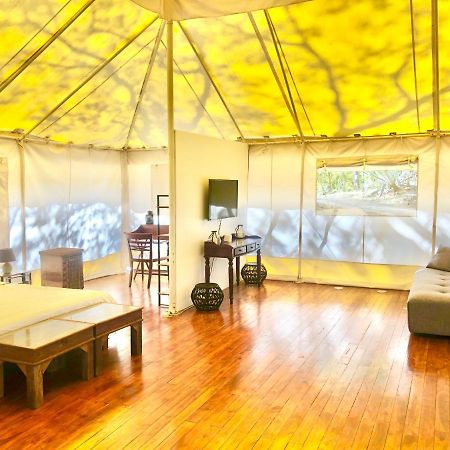 Hyla Nature Retreat 호텔 San José Pinilla 외부 사진