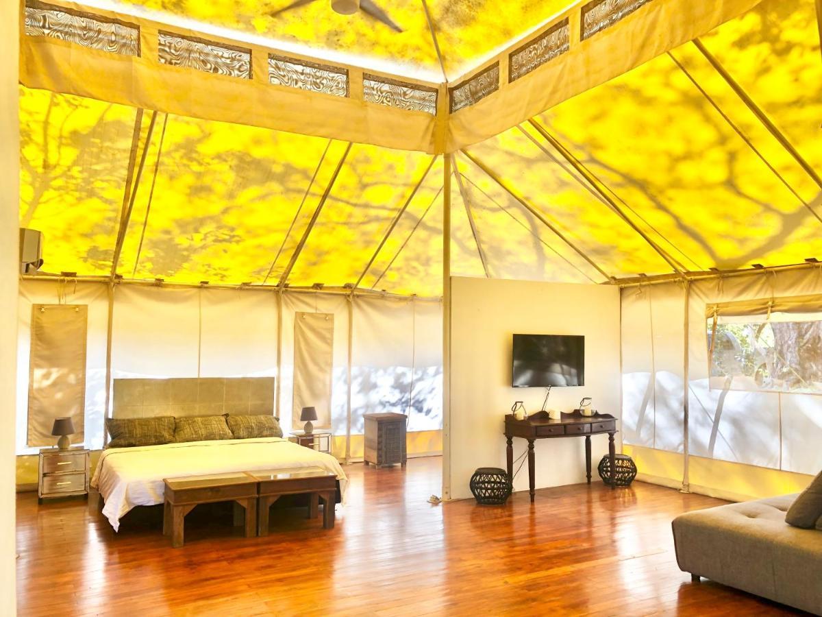Hyla Nature Retreat 호텔 San José Pinilla 외부 사진