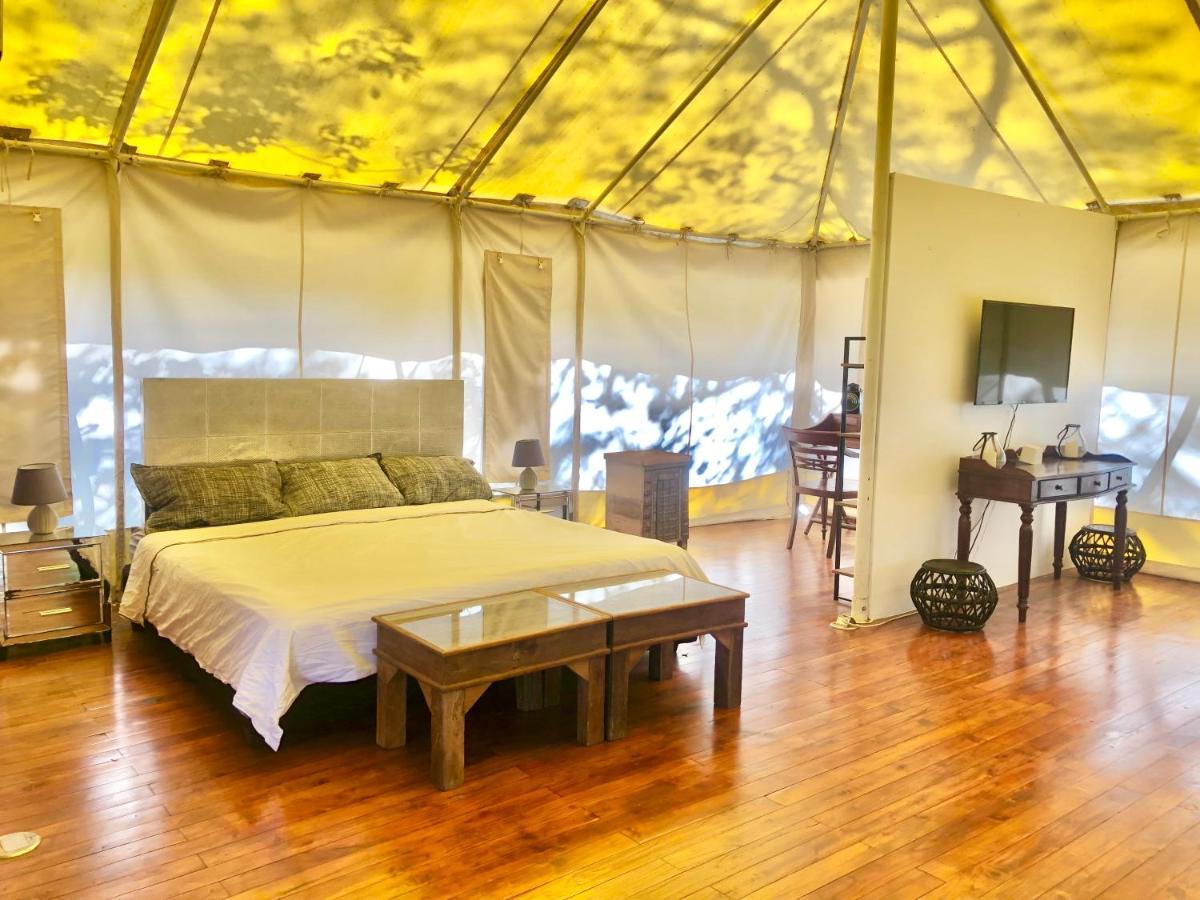 Hyla Nature Retreat 호텔 San José Pinilla 외부 사진