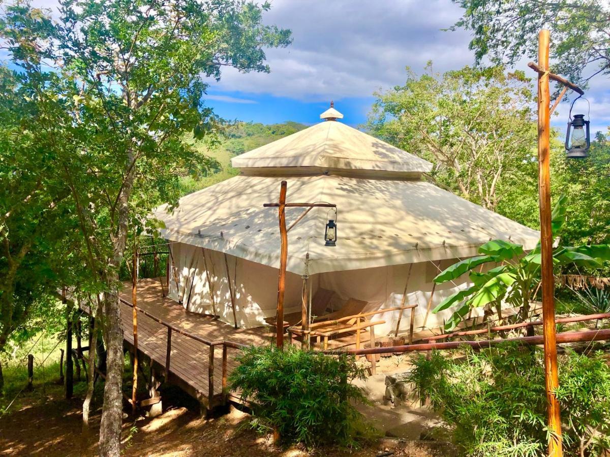 Hyla Nature Retreat 호텔 San José Pinilla 외부 사진