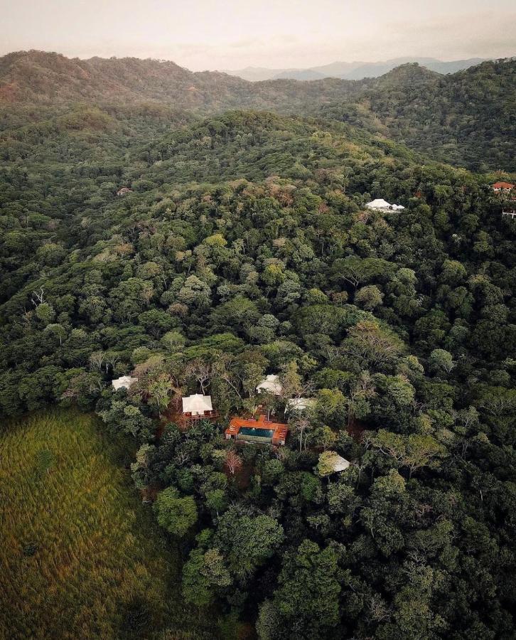 Hyla Nature Retreat 호텔 San José Pinilla 외부 사진